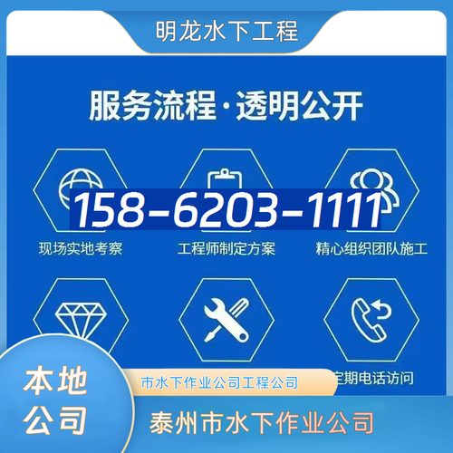 水下作业与信息中介 泰州市水陆信息咨询服务的市场价值探析